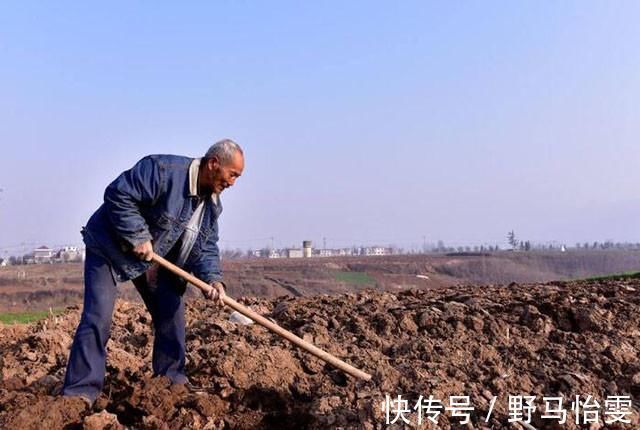 农村|征收拆迁，就只分房当农村土地被征收，还将有这四大“补偿费”