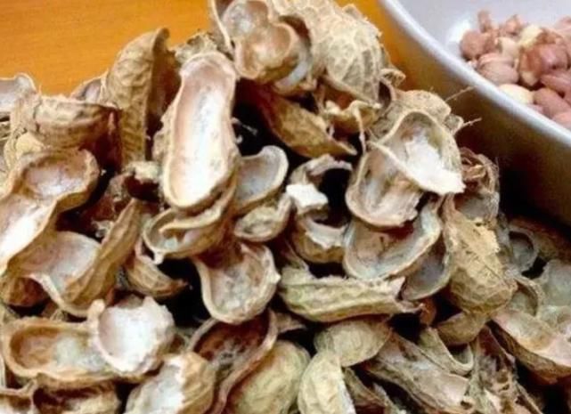 烟灰、花生壳别扔?防烂根、驱虫子,放盆里做花肥最棒了