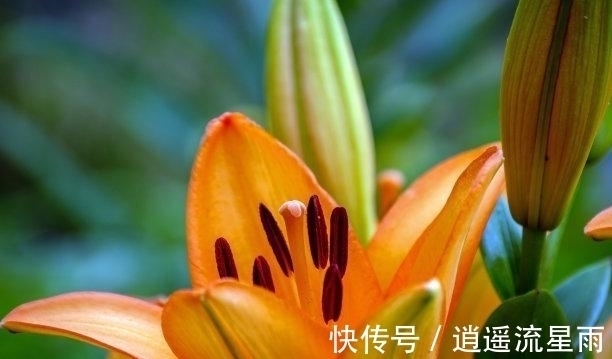 喜鹊|未来9天，分别之后，红娘牵绳，喜鹊离场，破冰复合，真爱无极限