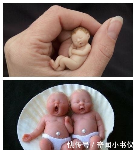 最小|世上最小“婴儿”,5个能同时放在一只手上!是新生父母的最爱!