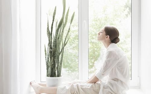 连这六种盆栽还养不好，真就不适合养花了，还是买塑料花吧