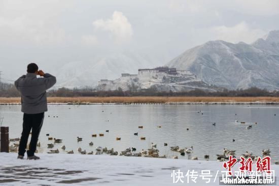 雪景|拉萨雪景美如画