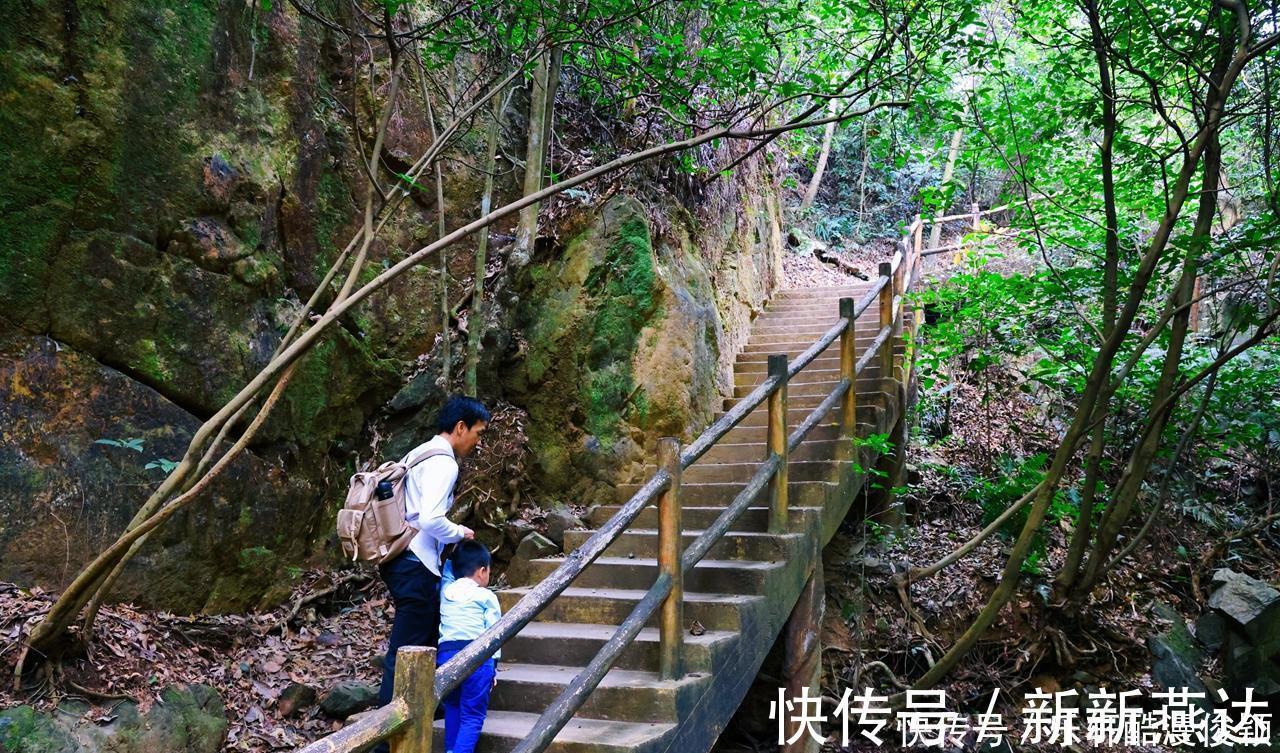 天空之镜|你想去原始森林探险吗这里有最大的树冠长廊、玻璃桥和天空之镜