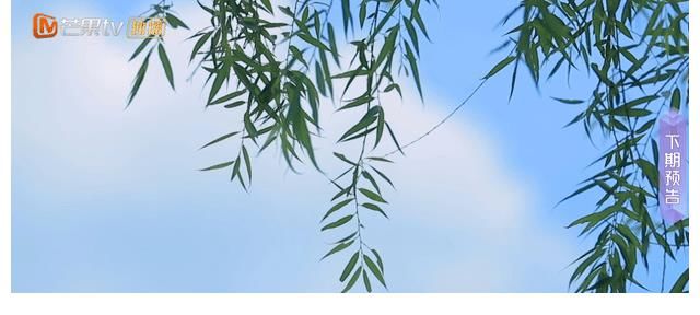 女儿们的恋爱|男嘉宾太会隐藏风险高，孟子义没心动依旧犹豫想继续，原因很现实