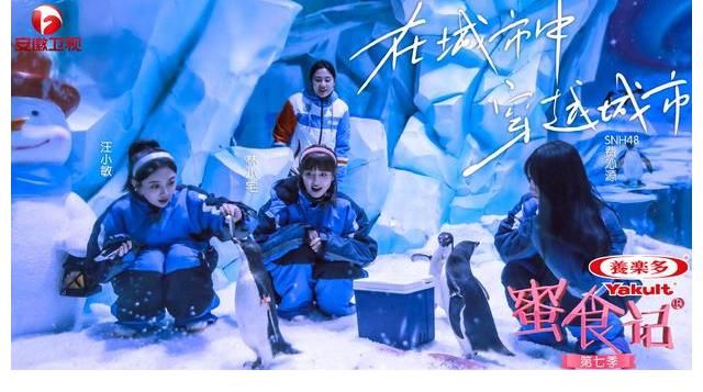 美食与爱不可辜负 汪小敏蜜食记第七季温暖再出发