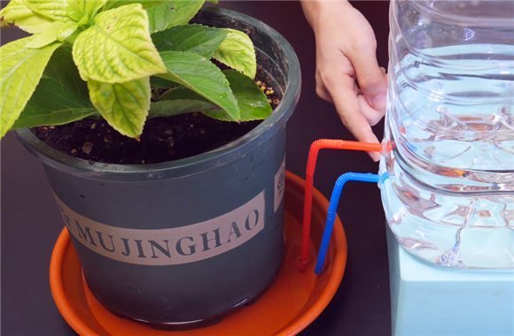 油桶|空油桶不要扔,在上面插两根吸管,放在阳台上,全家人都要抢着用