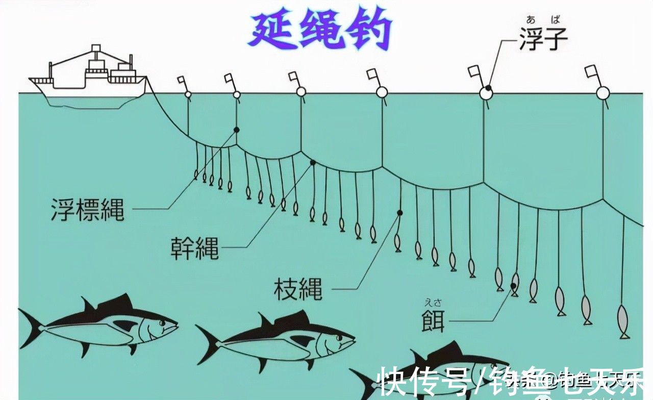 长江禁渔后，串钩钓、路亚钓还能不能继续？“规范”让钓鱼人犯愁