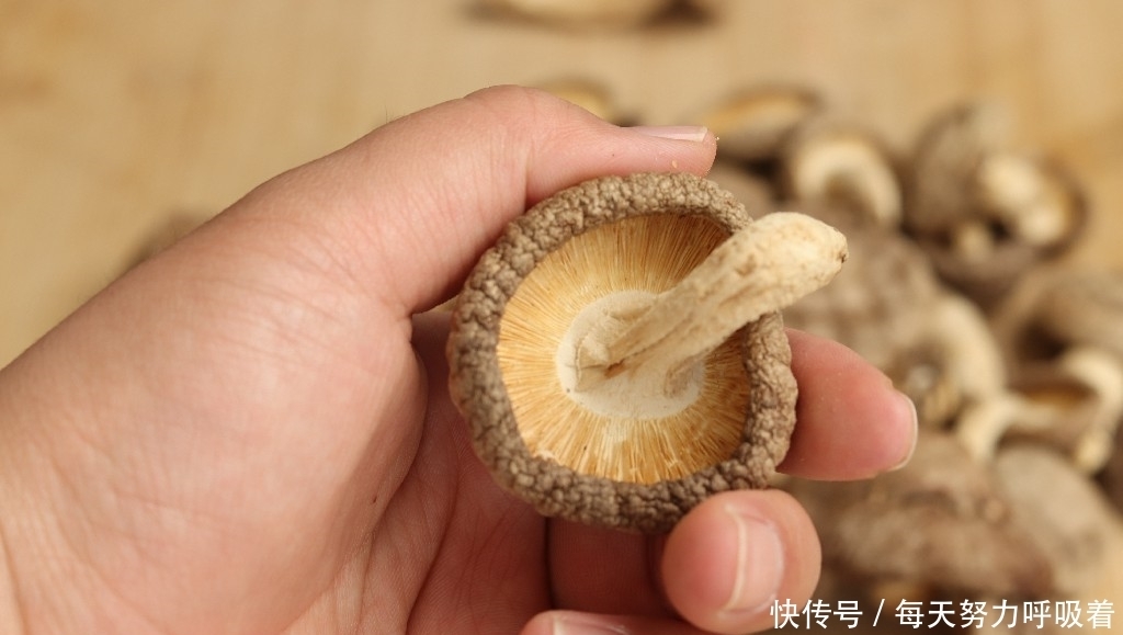 区别|一样是香菇,干香菇和鲜香菇有啥区别?知道以后别再乱买了
