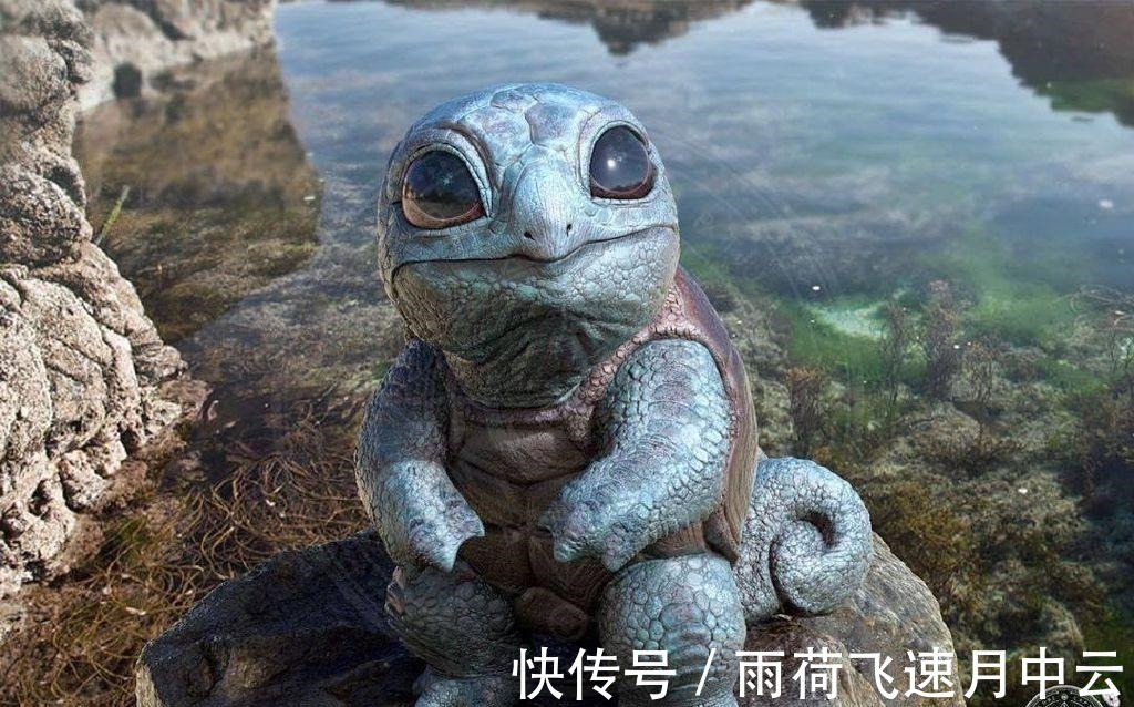 胖丁|精灵宝可梦“真人版”,妙蛙种子神似“蒜头”,还是喷火龙最霸气