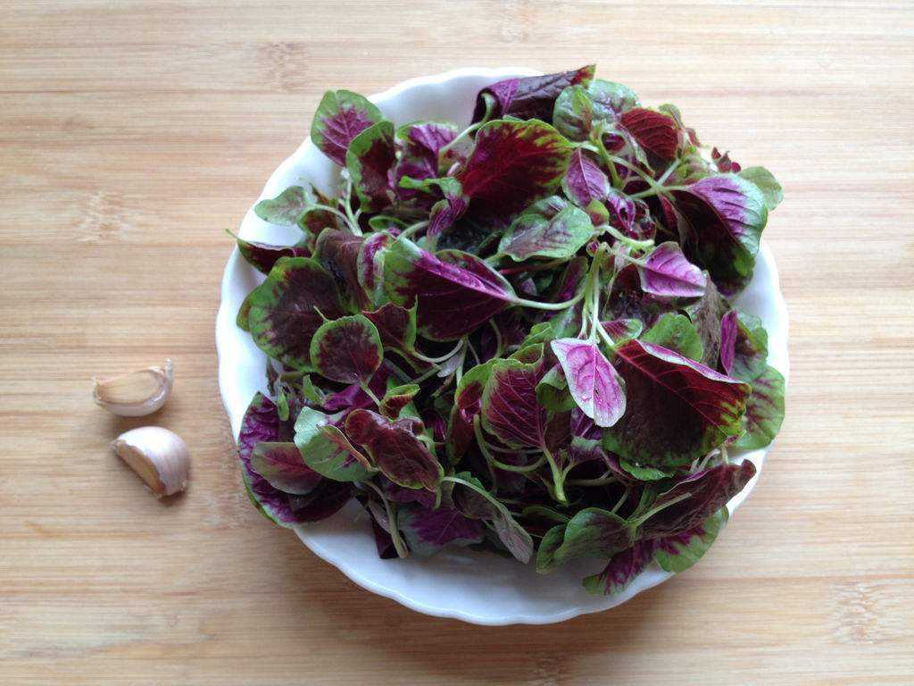 清肠|夏天吃一种绿叶蔬菜,清肠排油还补钙,怎么做都美味