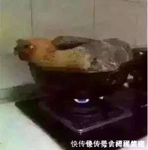 麻麻|熊孩子:麻麻竟给我吃这些东西,她是想要谋杀我,我该怎么办呢?