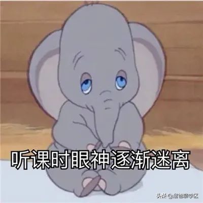 神仙树|大源北/攀成钢“升级”,神仙树“降级”…成都基准地价更新了