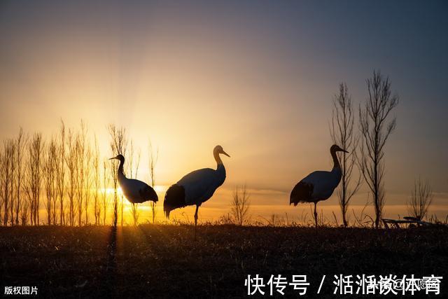 失眠|60岁以后,5件事不得不怕、不得不防!记住,并转告给老友们