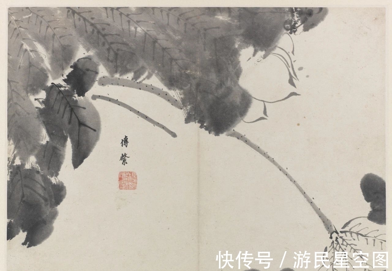 津门&「津门网」见画如见字、见字如见人,看这组清新的荷花您有啥感受