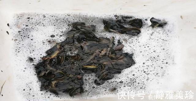 钓友|前脚放生鱼入水，后脚钓友下杆垂钓！垂钓者：我这是保护环境