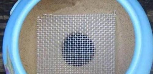 分钱|“3种料”垫盆底,花卉越长越有劲,不花1分钱,养啥旺啥