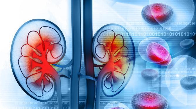 糖尿病肾病|一“尿”知肾,糖尿病患者:抬头看糖,低头看尿