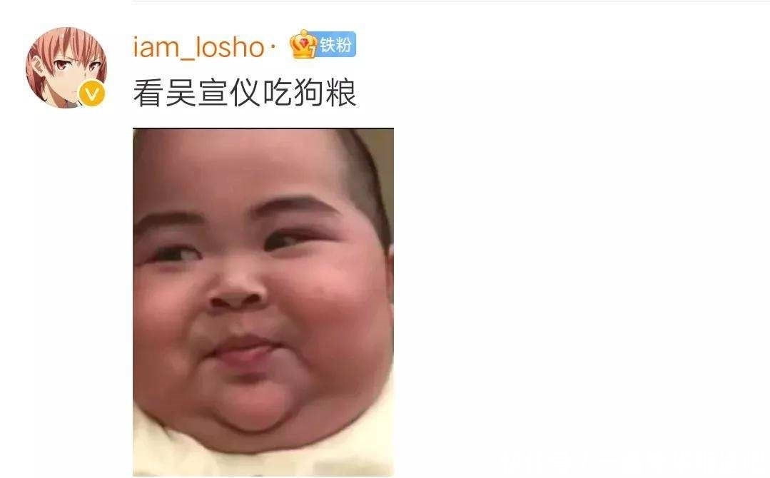 刘涛撑不起队长?拿着手卡像导游,张翰和吴宣仪加入也尴尬