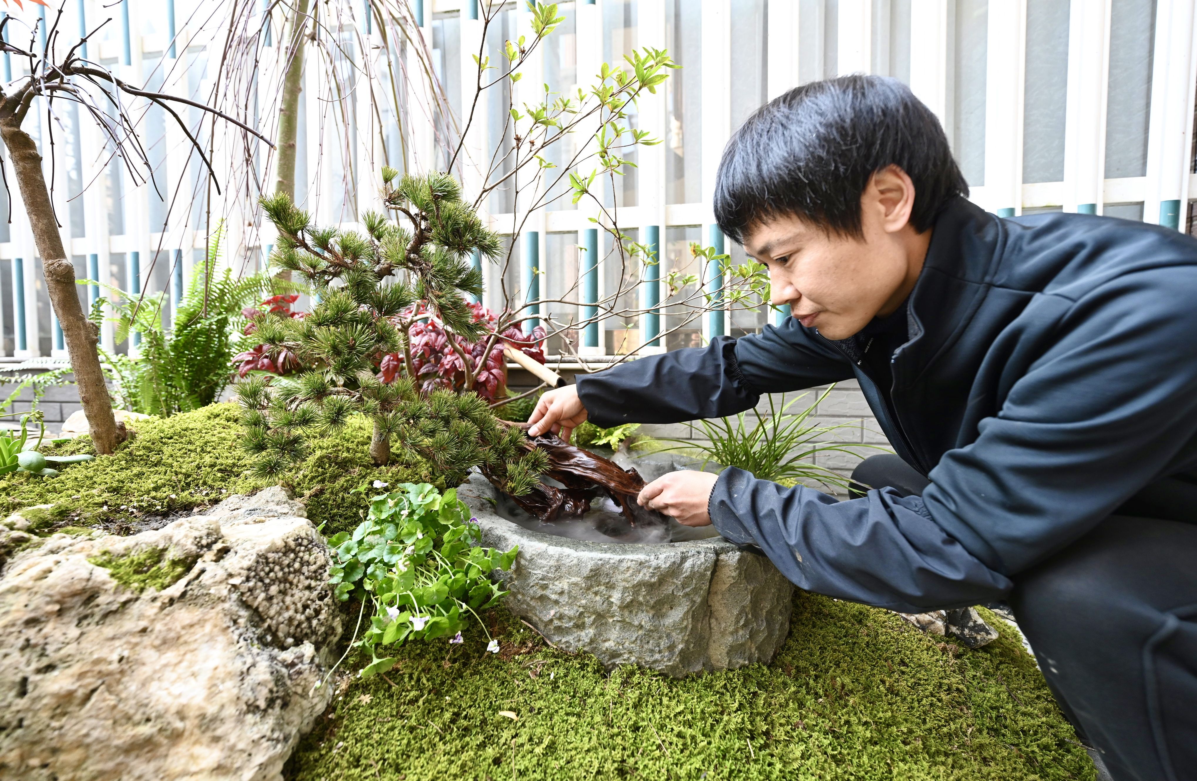 小院#宁海这家双林民宿招了三位“艺术管家”，高配版作品抢先看！