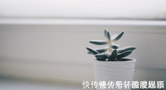 凡事|经历越多,变得越发冷漠的生肖,看透不说透,心境豁达,从不计较