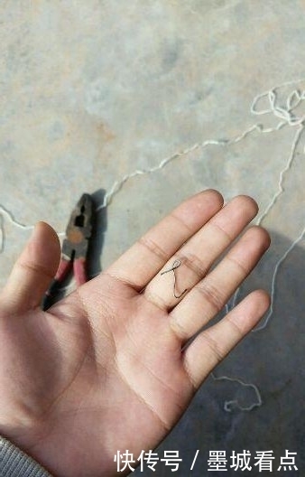 鱼钩|没想到还能这样钓鱼,一看就是个高手