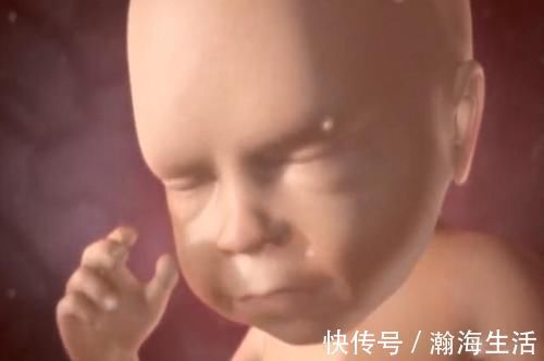 真相|孕妇在大哭的时候,胎儿也会跟着流眼泪吗?一张图告诉你“真相”