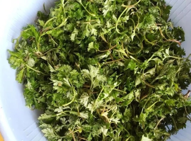 排出|藏在路边“护肝菜”，每天吃一盘，排出毒素，口臭没了，肝脏健康