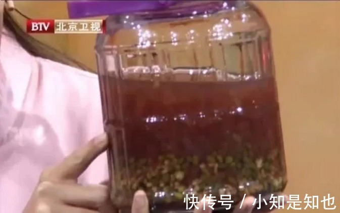 薏米|绿豆和它“天生一对”，一起煮成“ 维生素矿物质饮料 ”！