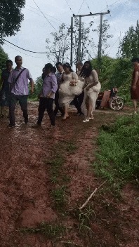 |搞笑GIF:土豪的新娘就是霸气,人家卖的是黄金萌啊