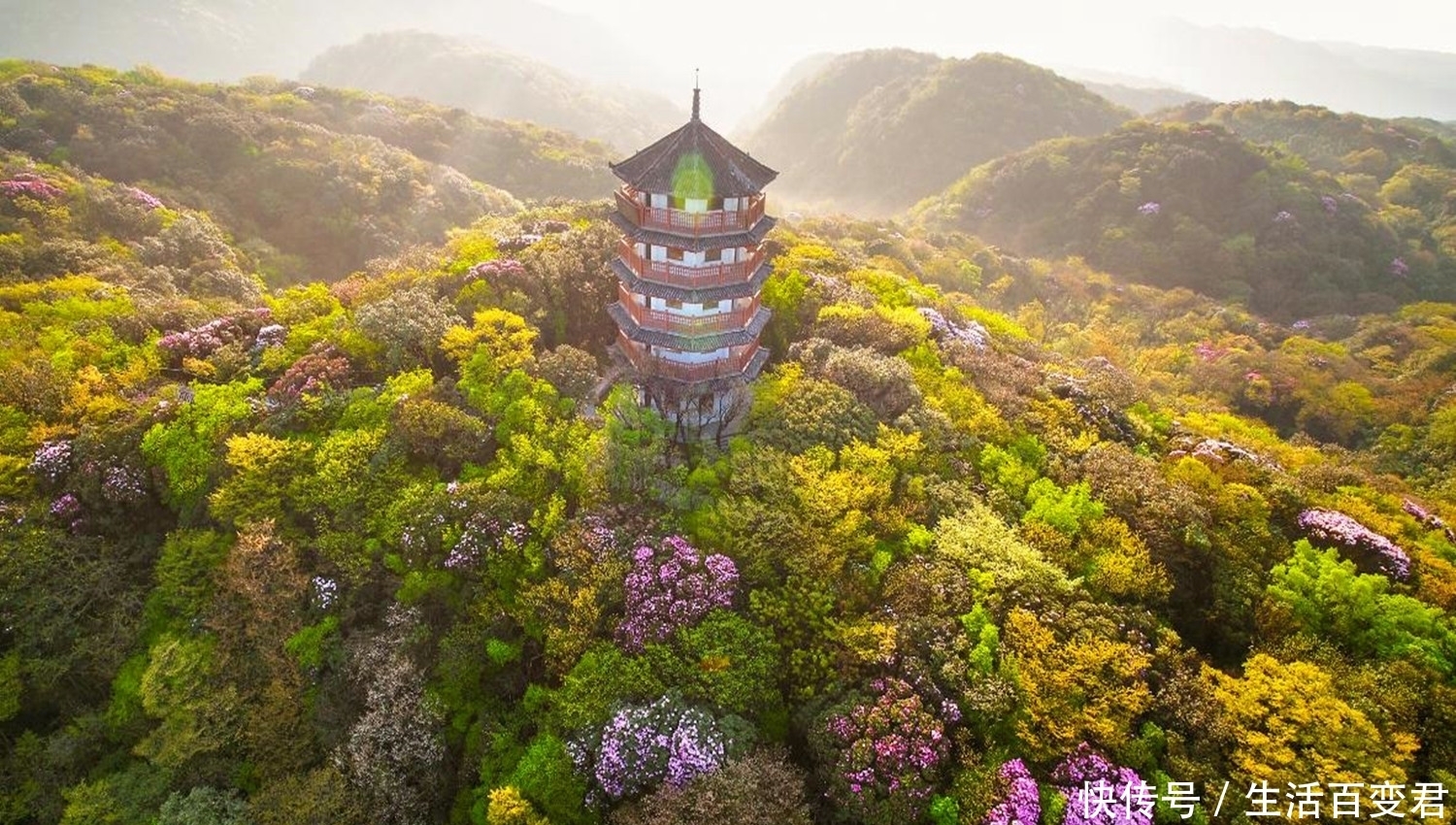 山城重庆有四大名山，其中有三座是5A级景区，你去过几个？