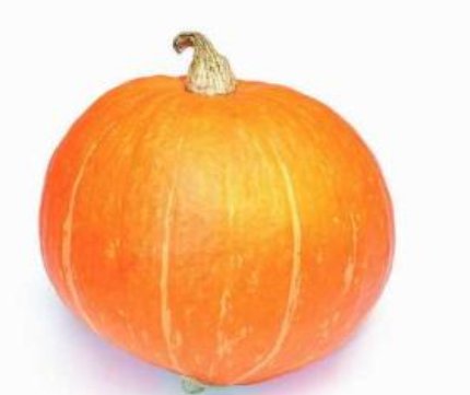 日常有哪些補腦的食物