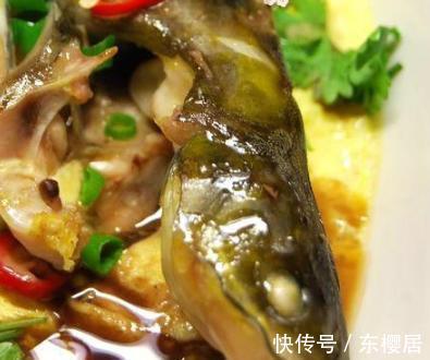 五花肉|昂刺鱼炖蛋最好吃的做法，味道鲜美，10分钟搞定，做法超简单