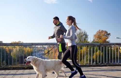 灵活度|跑步不伤身，掌握正确跑姿的5大要素是重点，你今天跑对了吗？