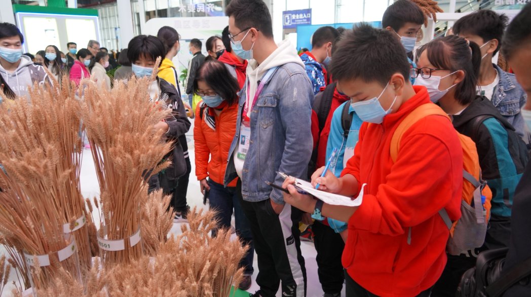 中学|走进杨凌农高会——西安市第三十四中学师生参观第27届杨凌农高会