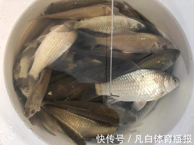 钓点|天冷就要用细线？错了！更重要的细节你还没想到，没口再改就晚了