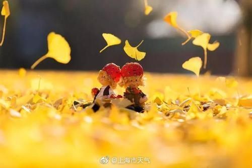 健康事项|@所有人，降温了，这些健康事项需注意，关键时刻能救命