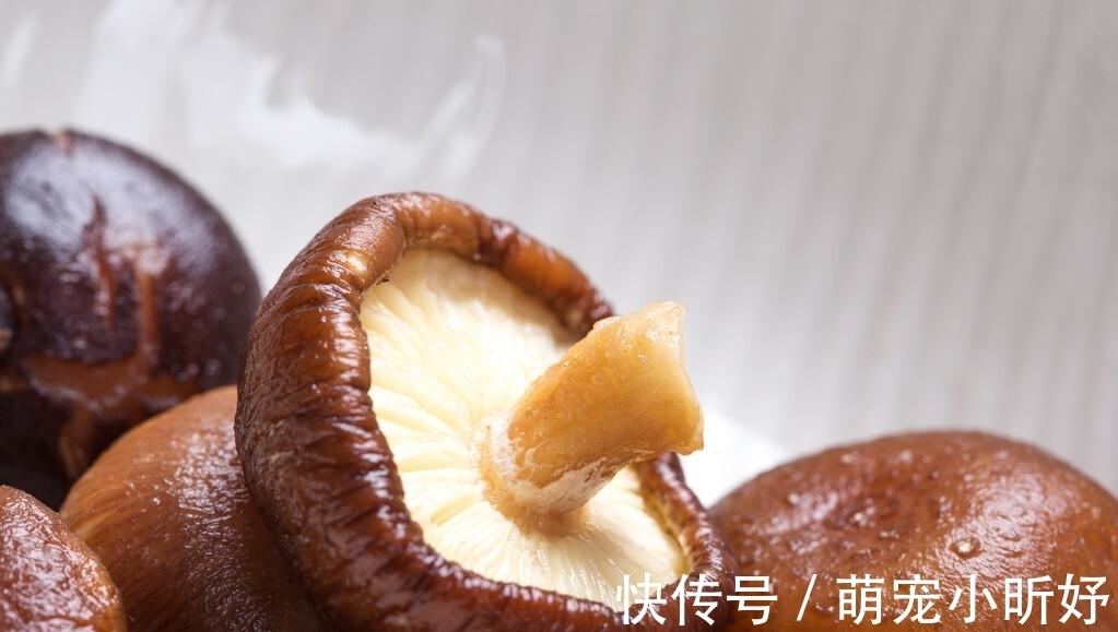 补气养血|当归炖鸡,你做对了吗?汤鲜肉烂,香气四溢,补气养血滋润容颜