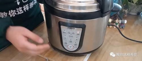 花草养不活，放点香蕉皮，打鸡血一样疯长！