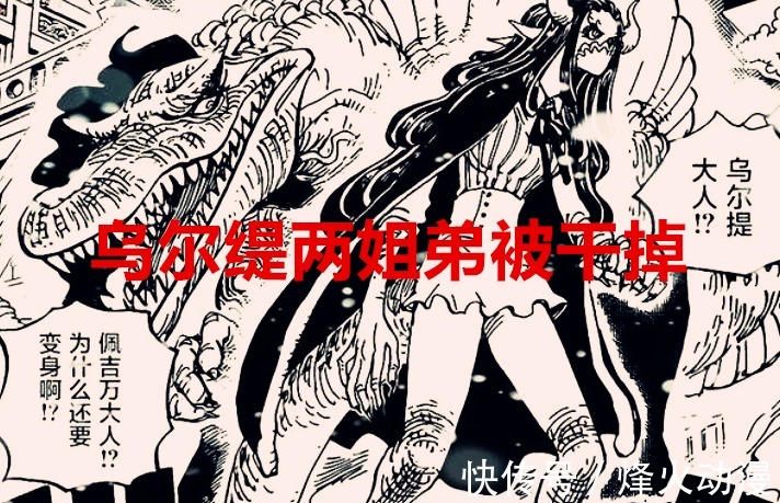 战功|海贼王1040话:大妈一战,被冠以“友军王”称号,她确实战功赫赫