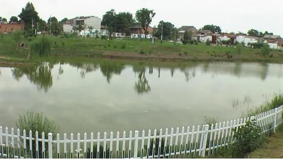 柳依依|宝鸡凤翔区白家凹村：小涝池变身生态湖