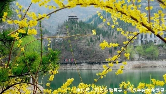 步行街|美翻!淄博还有这么一个“小而美”的地方,等你去发现!