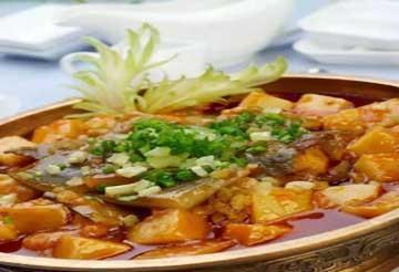 美食推荐:特色浓香葱油鸡、甲鱼四吃、豆瓣鹅肠制作方法