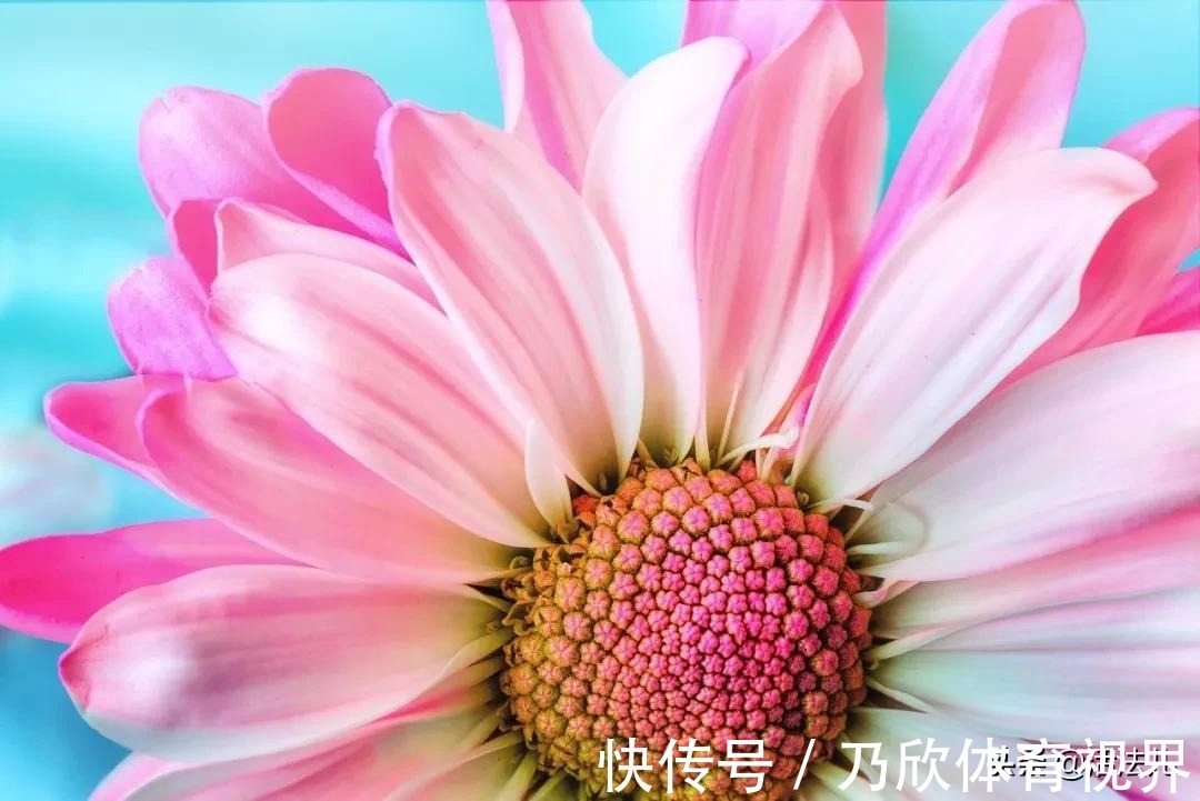 疖子|不补身体虚,一补就上火,你可能是上热下寒了,4招帮你搞定