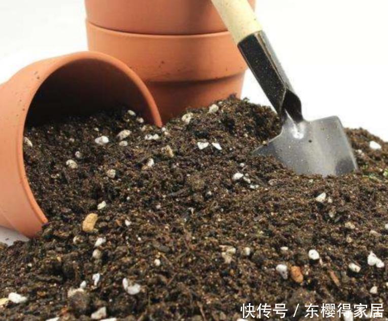 种水|养花不能用的3种土、4种水,不利于花卉生长,啥花都养不久