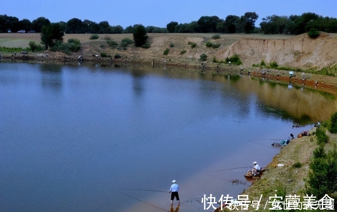 鲤鱼|野钓鲤鱼，关键技巧是这四个，上鱼速度快又狠——盛世三渔