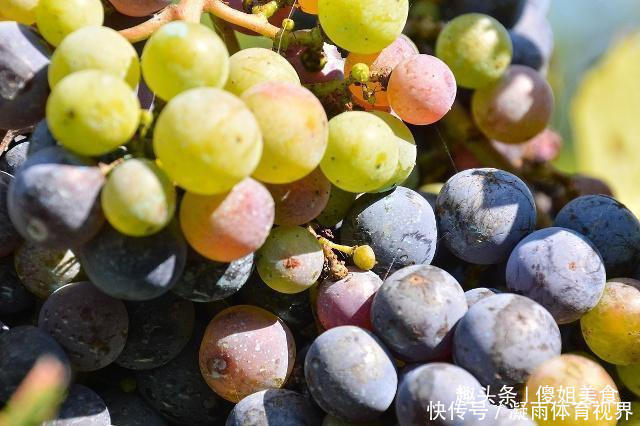 抓紧|爱吃葡萄的要留意了,我也是今天才知道,抓紧告诉身边的人