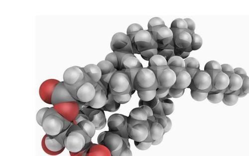 测血脂时,化验单上的4项指标,是需要了解的,不妨来了解下