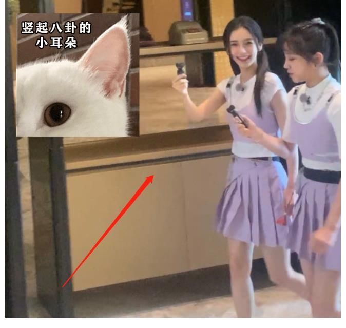 節目|跑男9錄制尾聲,蔡徐坤陳立農互動有愛,哪知楊穎宋雨琦引關注