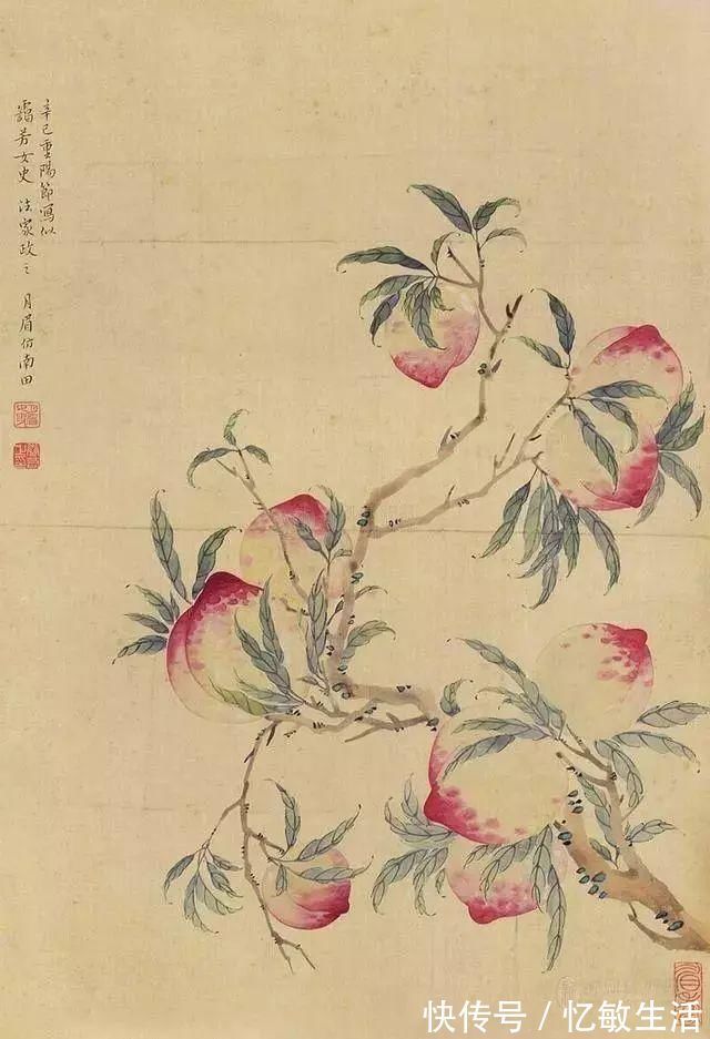 花鸟!她凭天赋自学书画,画画不到20年,却堪称“花鸟圣手”,成为一代传奇