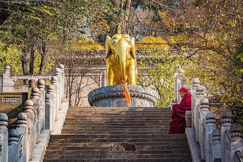 附详细路书|[干货]青甘大环线，一圈走遍打卡地| 打卡